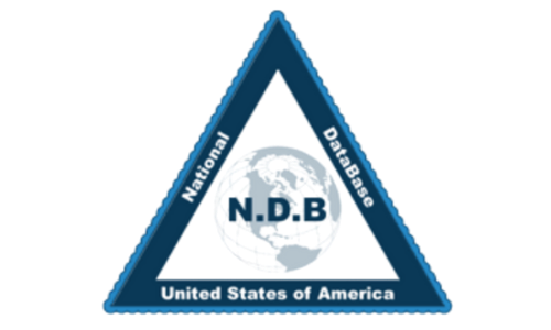 Ndb logo